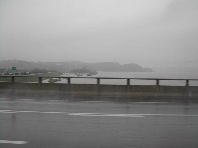 Unusually heavy rains this year